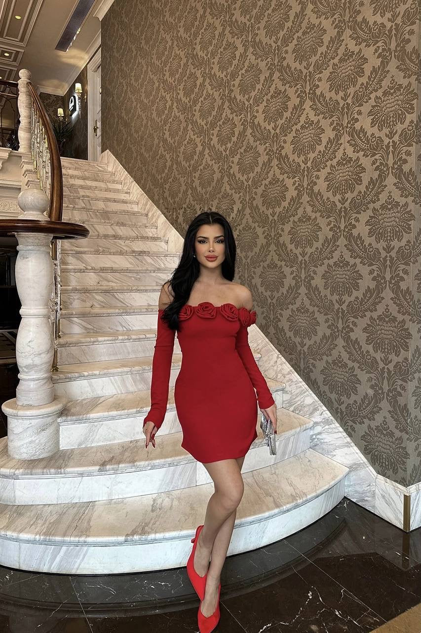 Red rose mini dress