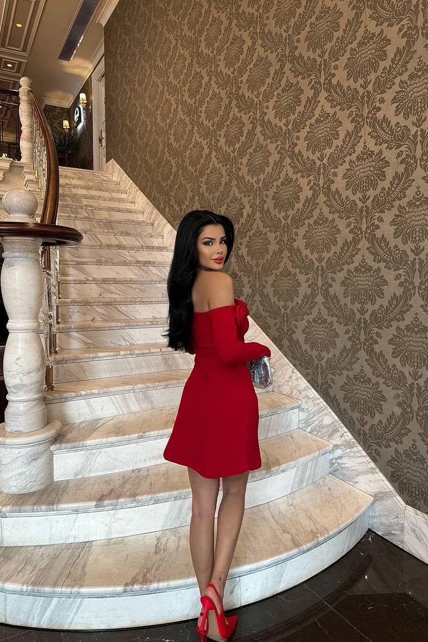 Red rose mini dress